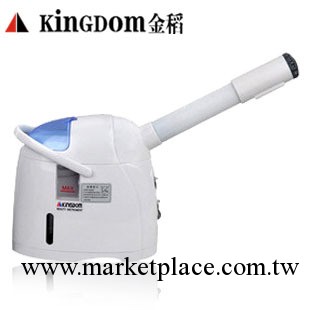 金稻KD169A冷熱香薰美容/噴霧機/蒸臉器/蒸面器傢用美容儀工廠,批發,進口,代購