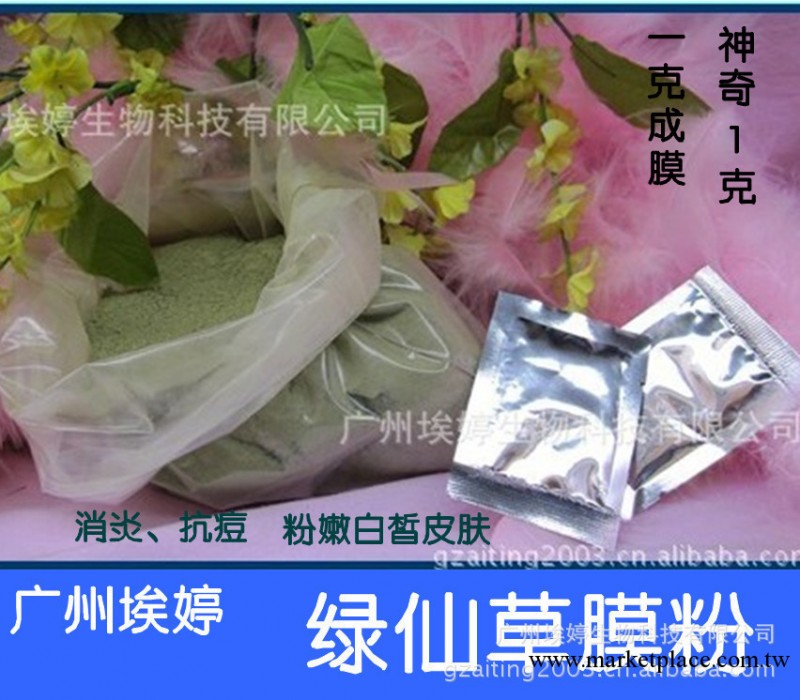 專業銷售美容養顏養生產品綠仙草粉 綠仙草面膜粉 1g成膜工廠,批發,進口,代購