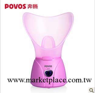 奔騰 蒸鼻/蒸臉器 美容儀 美白潤膚滋潤補水保濕熱噴傢用機PW101工廠,批發,進口,代購