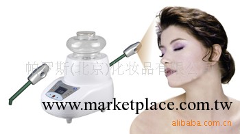 美容蒸汽機 中藥蒸汽機 傢用美容蒸汽儀工廠,批發,進口,代購