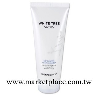 TFS 白雪公主水凝雪肌美白保濕洗面奶 140ml 白樹升級版工廠,批發,進口,代購