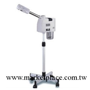 泰東338A正品美容院裝冷熱噴/雙管美容噴霧機/美容儀器/ 可清洗工廠,批發,進口,代購