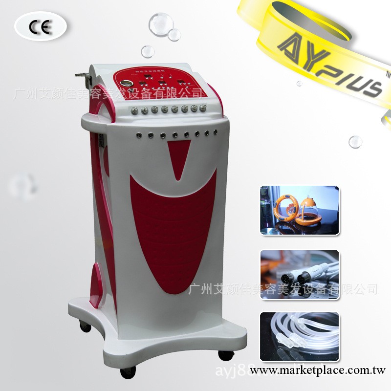 體態平衡儀 特效豐胸儀 美容美體儀器 體態平衡豐胸儀 AYJ-831工廠,批發,進口,代購