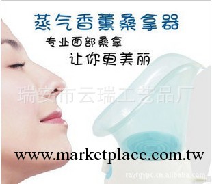 直銷特價傢用面部桑拿器香薰美容噴霧機蒸臉機 保濕儀器 帶鼻罩工廠,批發,進口,代購