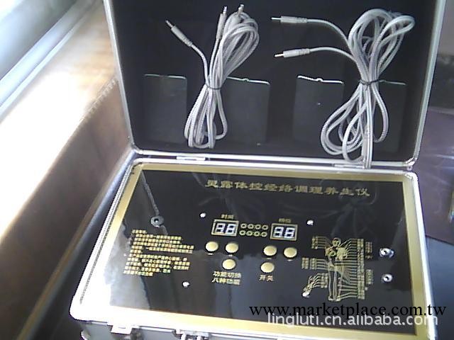 10檔經絡體控電療儀疏通經絡調理氣血美容保健工廠,批發,進口,代購