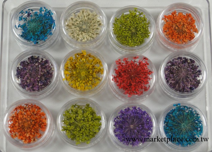 美甲飾品批發 幹花 天然植物飾品花 美甲幹花套裝 小飾品 12色裝工廠,批發,進口,代購