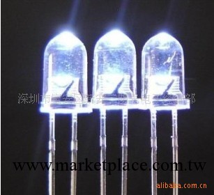 供應5MM白光發光二極管 短腳白光 LED 各色溫白光發光二極管工廠,批發,進口,代購