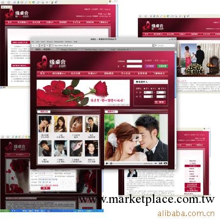 提供網頁設計 品牌網站設計 東莞網頁設計   服務工廠,批發,進口,代購