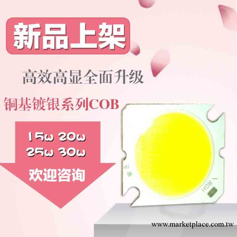 暢銷 筒燈軌道燈專用 cob封裝 20W led cob光源 歡迎咨詢批發・進口・工廠・代買・代購