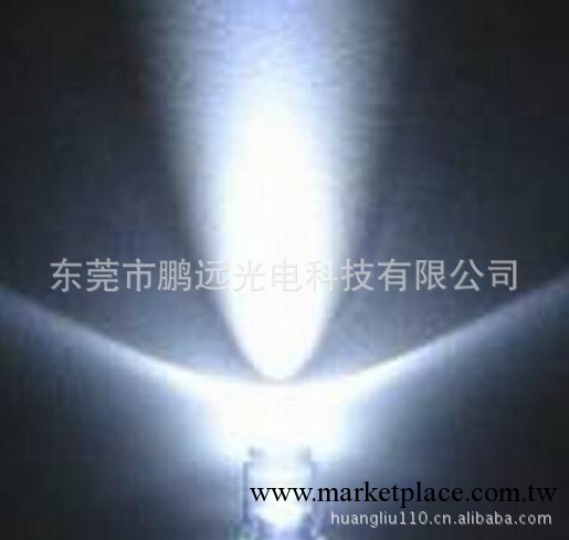 發光二極管 5MM白光led F5白光led生產廠傢工廠,批發,進口,代購