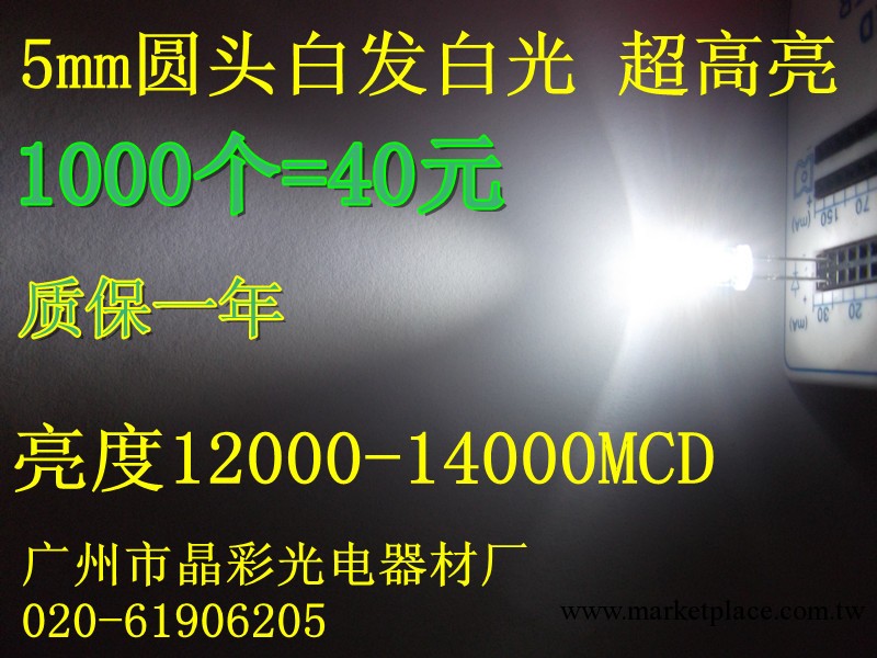 5mm圓頭白發白光LED燈珠 F5白光 高亮5mm白燈 發光二極管 高質量工廠,批發,進口,代購