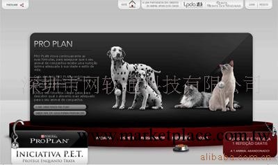 建設精美網站設計,網站開發,古典網站制作，建設網頁工廠,批發,進口,代購