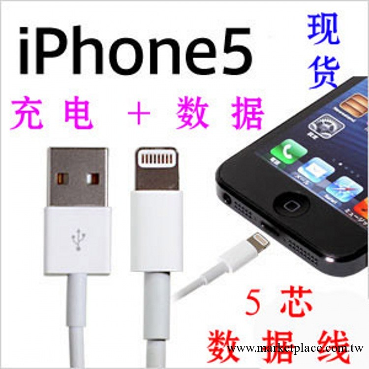 蘋果數據線 iphone5代數據線 ipad mini 數據線 現貨供應質量穩定工廠,批發,進口,代購