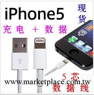 蘋果5數據線 apple Lightning至USB 連接線 閃電 iphone5數據線工廠,批發,進口,代購