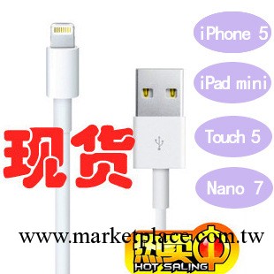 蘋果 iphone 5 線據線 Touch 5充電線 充電器 ipad mini 傳輸線工廠,批發,進口,代購