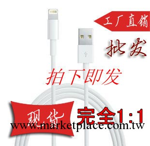 現貨供應 iphone5 數據線 Lightning 5芯 蘋果ipod 蘋果5數據線批發・進口・工廠・代買・代購