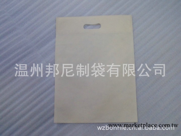 蒼南平口購物袋 平口禮品袋 無紡佈袋 環保袋批發・進口・工廠・代買・代購