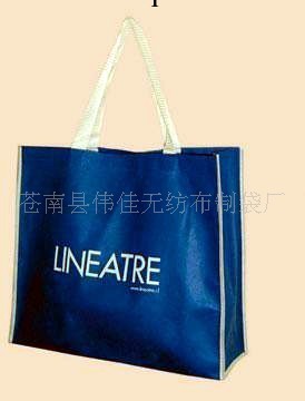 供應專業生產各種無紡佈袋、環保袋、無紡袋、鞋袋(圖)批發・進口・工廠・代買・代購