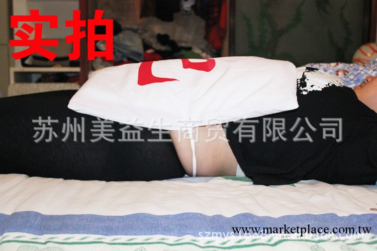韓式減肥墊 中藥減肥墊 中藥熱敷減肥墊 瘦身燃脂 美容院減肥產品工廠,批發,進口,代購