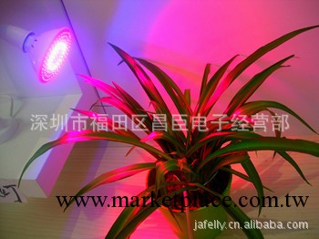 新款特賣LED燈具LED植物生長燈6WE27655-660NM工廠,批發,進口,代購