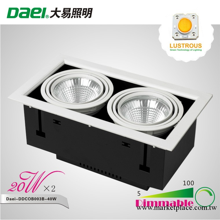 Daei品牌最新款商業照明LED燈具-可調光雙頭40WLED豆膽燈LED射燈工廠,批發,進口,代購