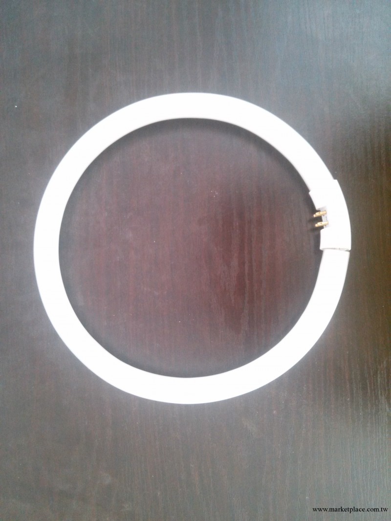 東方燈具廠廣東中山直銷處 環形管批發・進口・工廠・代買・代購