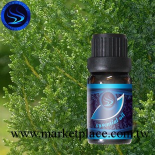 批發Aromatherapy純天然有機絲柏單方精油 緊膚減肥 長期穩定供貨工廠,批發,進口,代購