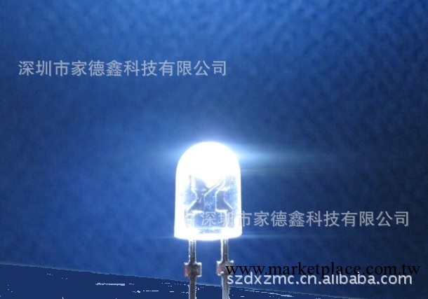 LED直插發光二極管橢圓白光帶卡位短腳燈珠|LED顯示屏專用燈珠批發・進口・工廠・代買・代購