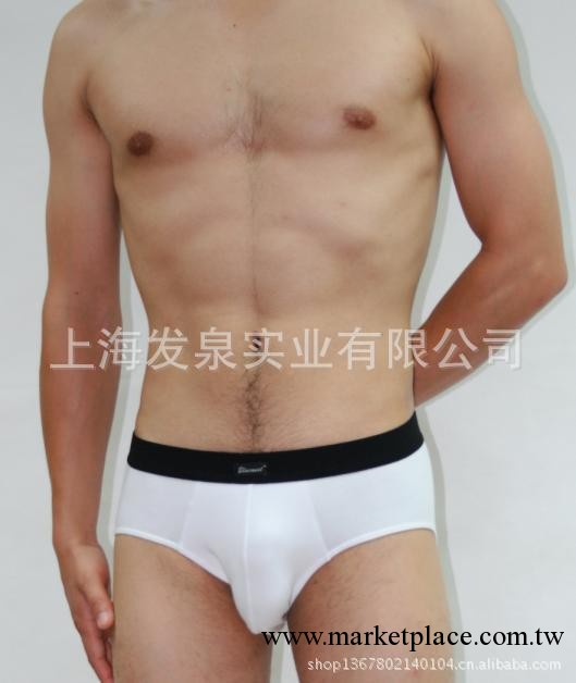純棉內褲 男士三角褲性感低腰吸汗透氣 U凸舒適莫代爾一件代發302工廠,批發,進口,代購