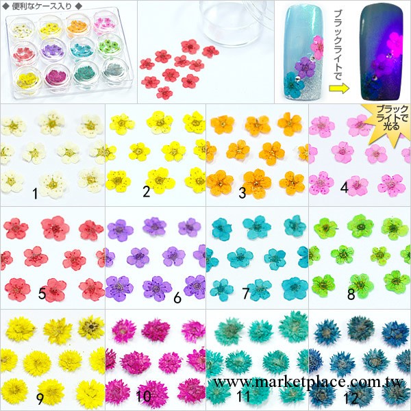 工廠批發 美甲飾品 美甲花 幹花  光療，水晶指甲貼花 2000片裝工廠,批發,進口,代購