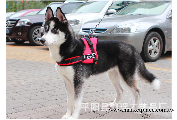 廠傢直銷TV產品 寵物用品 大型犬狗的胸背帶 豪華牽引繩 紅色工廠,批發,進口,代購