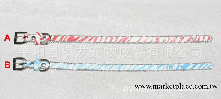 溫州寵物皮帶  寵物用品公司直銷  寵物狗牽引帶廠工廠,批發,進口,代購