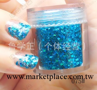 單色大瓶裝美甲亮粉漸變色顏色正閃片亮片閃粉一體工廠,批發,進口,代購