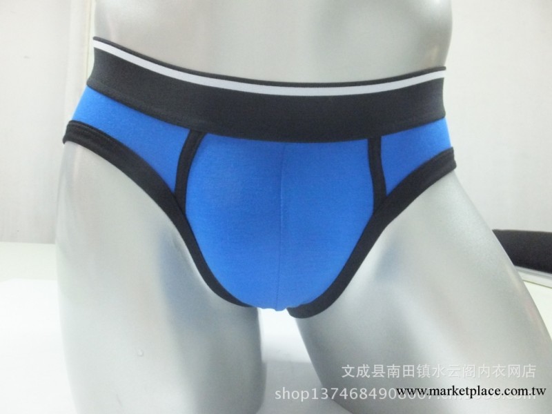 002 三角褲 莫代爾男士內褲 中腰男士內褲 男式U凸囊袋 批發工廠,批發,進口,代購