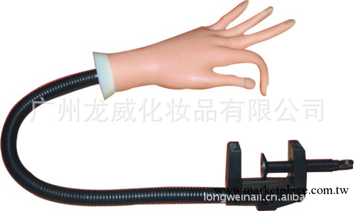 供應美甲練習手 展示手 帶臂假手 橡膠手模型工廠,批發,進口,代購