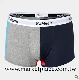 卡賓時尚彈力潮人男款抗菌透氣夏季純棉四角短褲平角內褲K1739工廠,批發,進口,代購