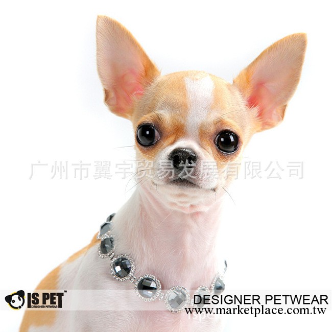 【寵物項鏈】狗狗項鏈 (寵物用品)工廠,批發,進口,代購