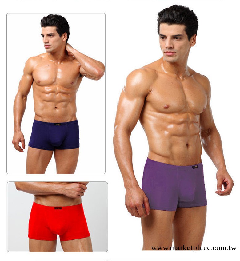 2013新品 男士內褲 莫代爾 平角褲 廠傢批發工廠,批發,進口,代購