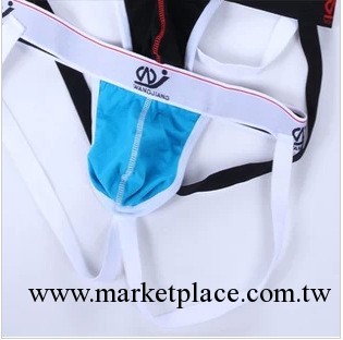 3005-SD  男士內褲 寬邊棉 雙丁褲工廠,批發,進口,代購