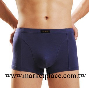 701網絡熱銷款 莫代爾男士內褲 純色男平角內褲 5色 XXL碼工廠,批發,進口,代購