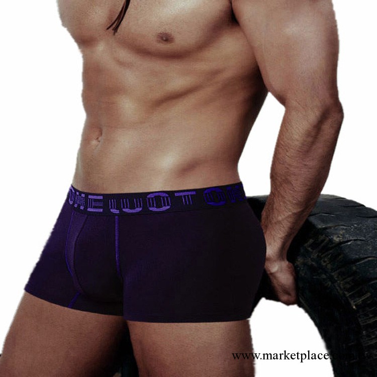 鎮廠之寶 男士內褲 柔軟超透氣內褲 男 高檔 莫代爾平角內褲工廠,批發,進口,代購