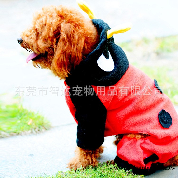 94備貨 爆款狗衣服 寵物用品 加厚雙層 狗四角衣 瓢蟲 現貨供應工廠,批發,進口,代購
