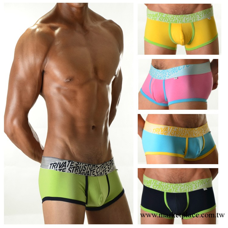 湛藍內衣 男士內褲批發商 純棉面料平角褲多色清新時尚內衣0801工廠,批發,進口,代購