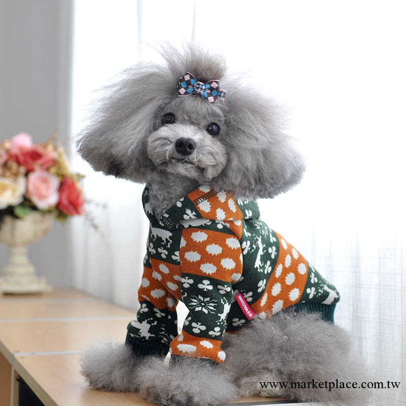 妮克威爾/nicovaer 寵物用品 泰迪 狗衣服批發 考拉絨連帽棉衛衣工廠,批發,進口,代購