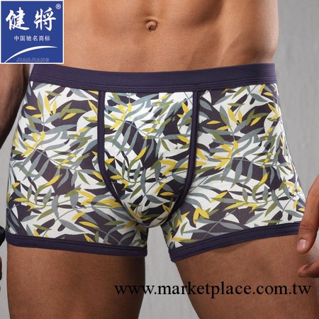 正品健將  竹漿纖維平角內褲立體裁剪99386工廠,批發,進口,代購