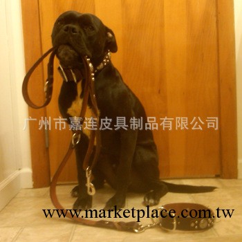 廠傢直供 外單出口產品 高檔皮質狗繩子 寵物繩帶 寵物四季用品工廠,批發,進口,代購