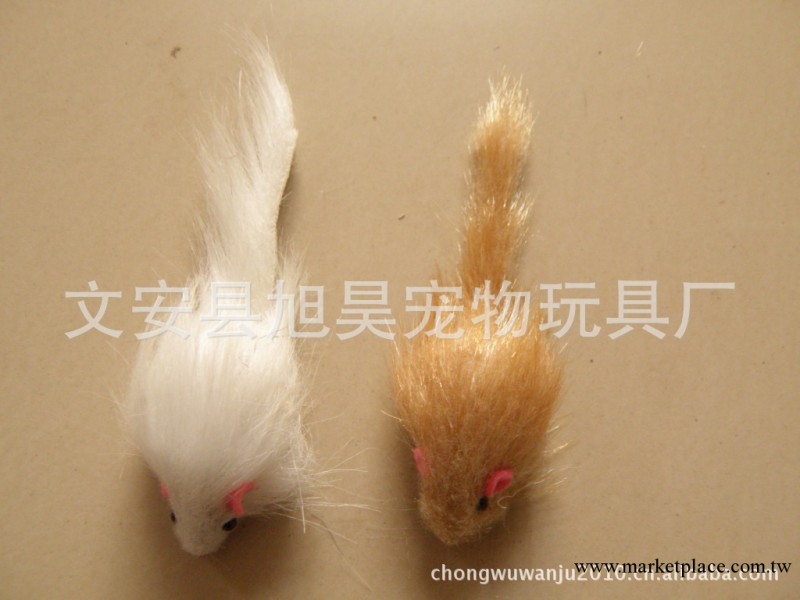 【優質】廠傢批發供應籠中鼠 寵物裝飾 寵物用品 塑料寵物配件工廠,批發,進口,代購
