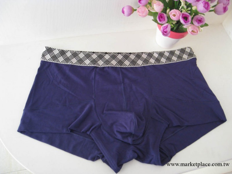 艾綸思6007精品時尚竹纖維男式平腳內褲工廠,批發,進口,代購