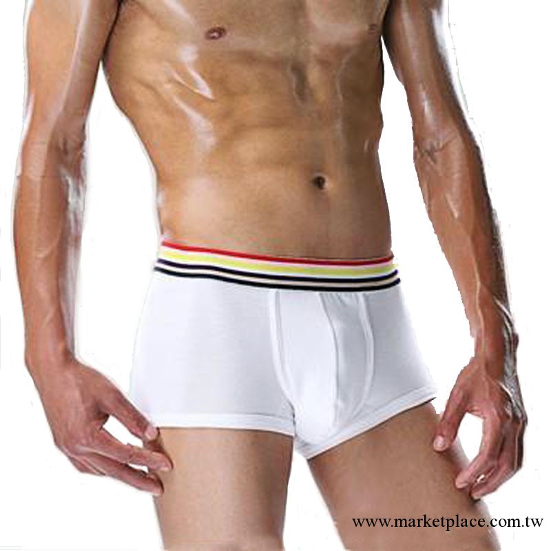 【愛來無憂】純棉彩虹腰邊經典男士小平角內褲工廠,批發,進口,代購