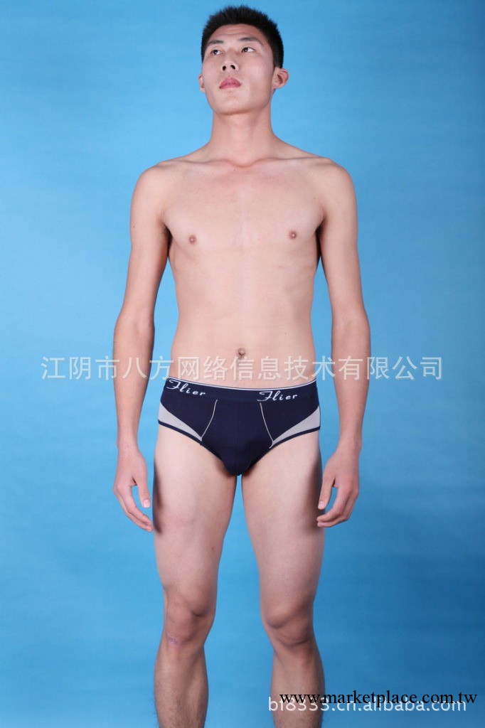 原單正品尾單外貿男內褲 男士高檔三角內褲 男士三角褲FC10808工廠,批發,進口,代購